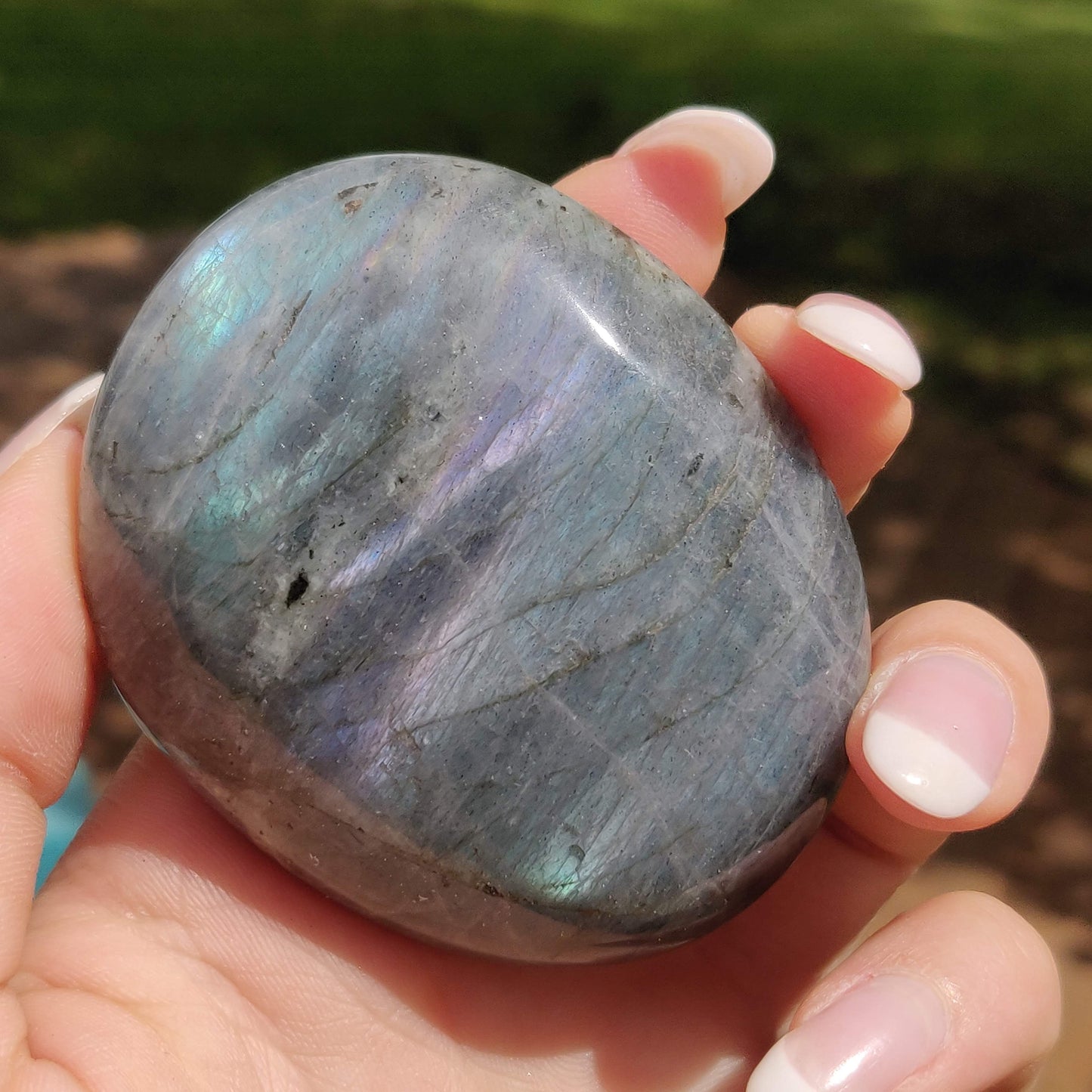 Labradorite Palm Stone (#311) - Simply Affinity
