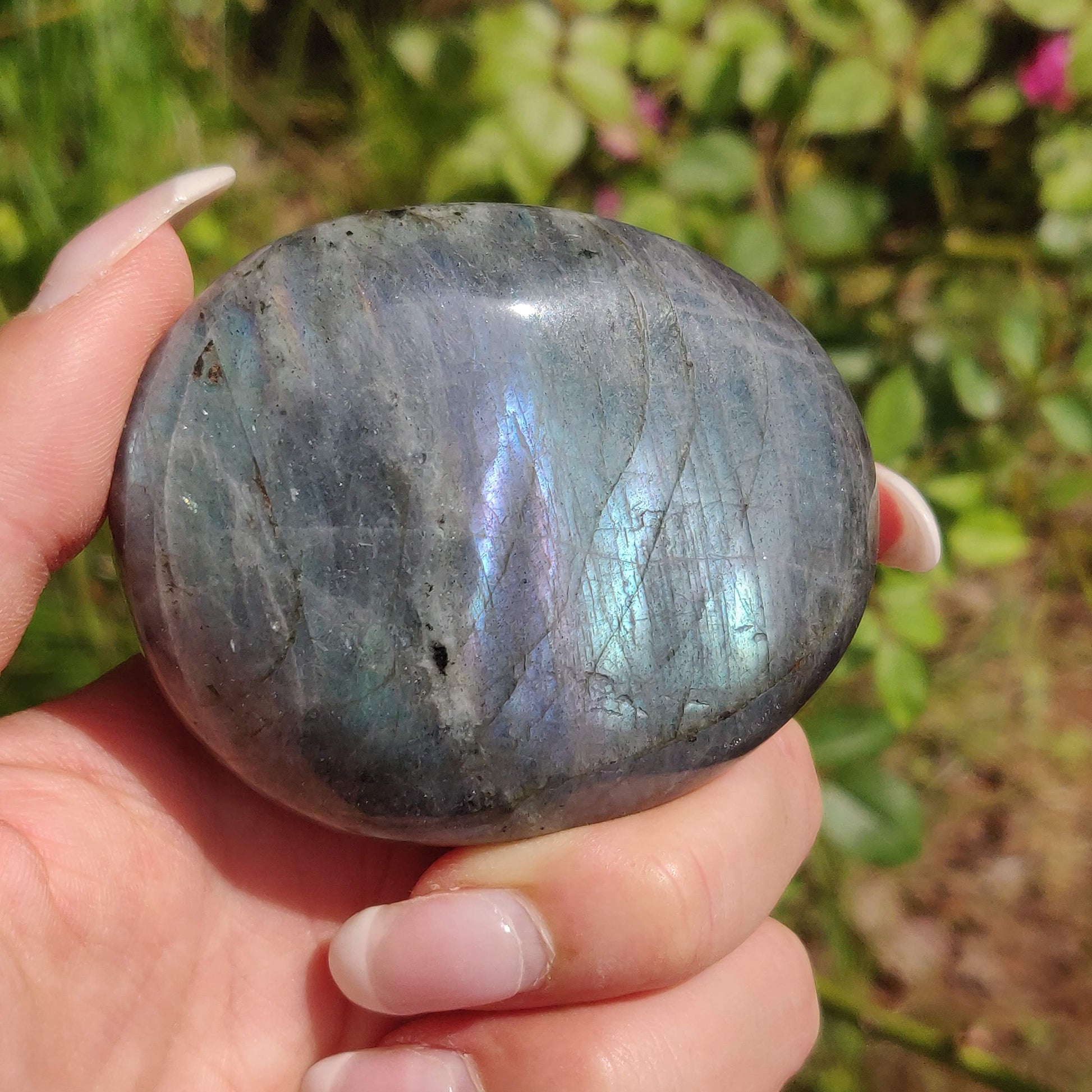 Labradorite Palm Stone (#311) - Simply Affinity