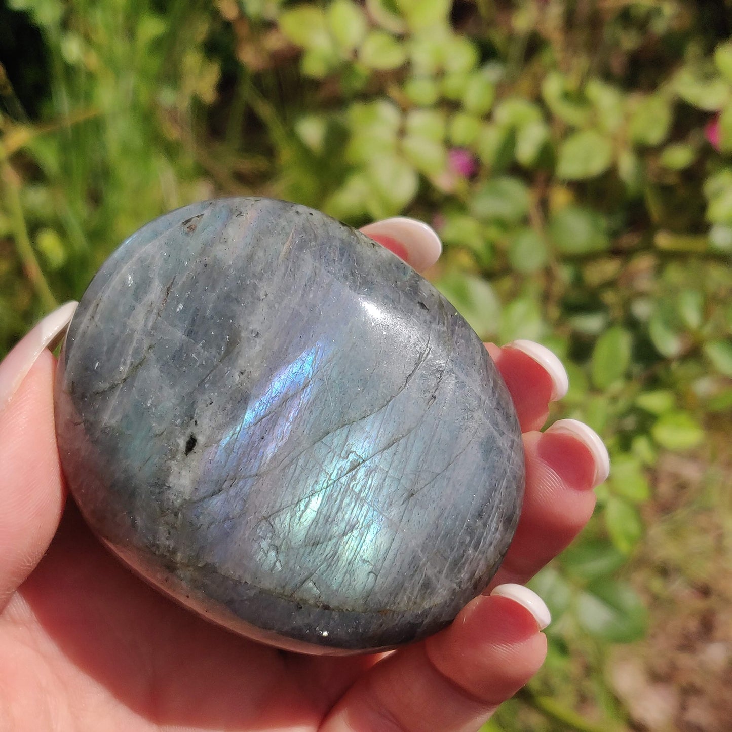 Labradorite Palm Stone (#311) - Simply Affinity