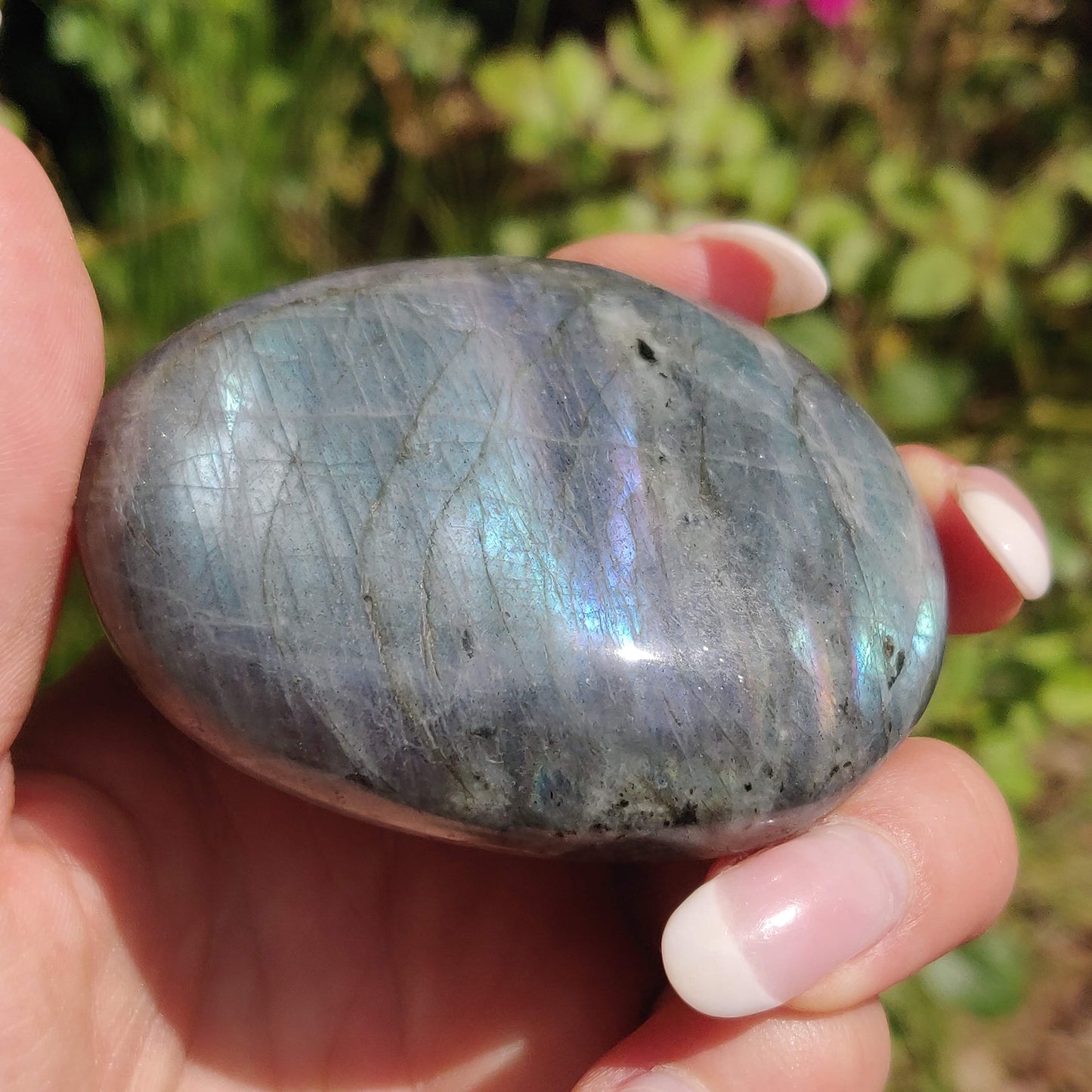 Labradorite Palm Stone (#311) - Simply Affinity