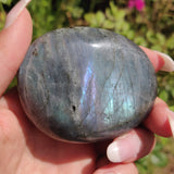 Labradorite Palm Stone (#311) - Simply Affinity