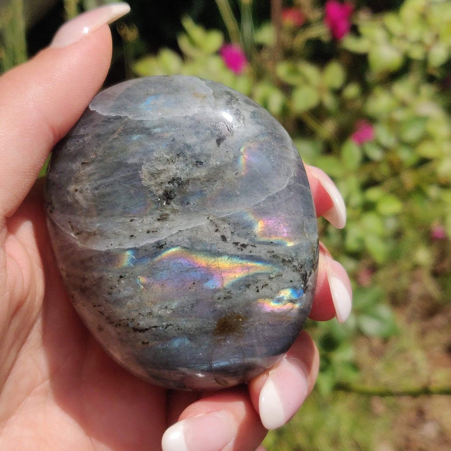 Labradorite Palm Stone (#311) - Simply Affinity