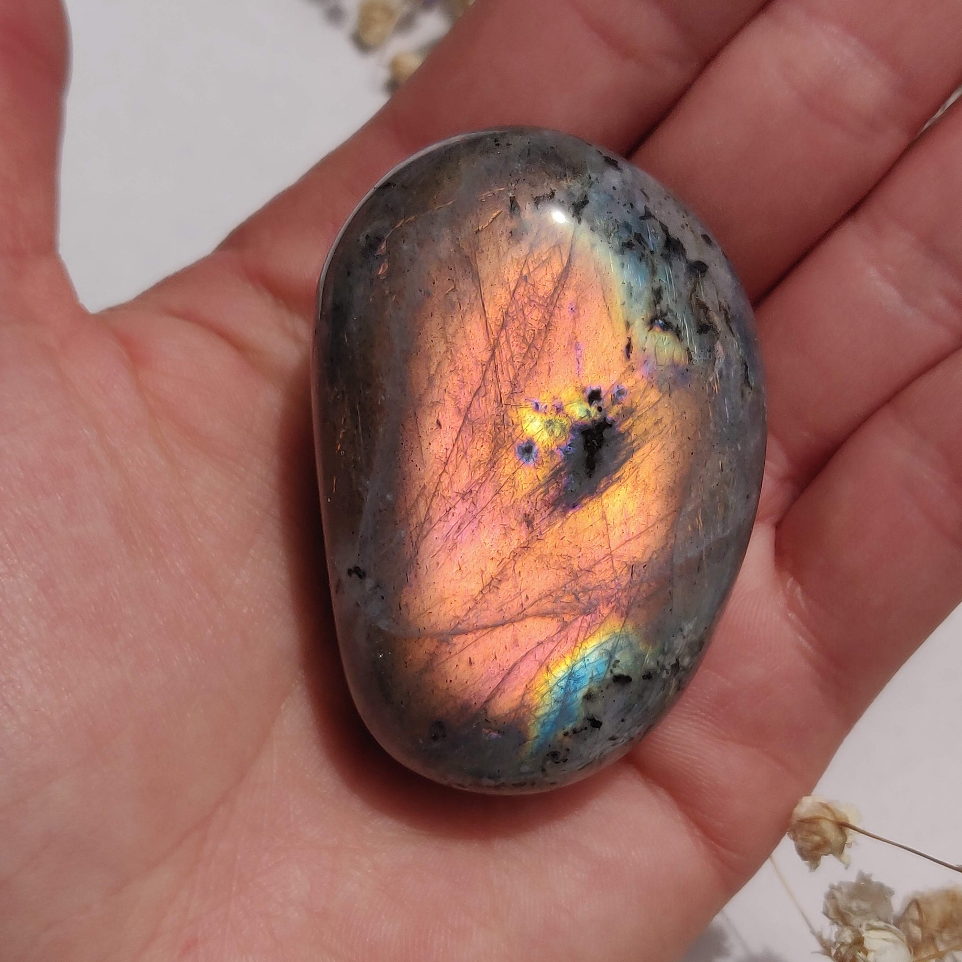 Labradorite Palm Stone (#313) - Simply Affinity