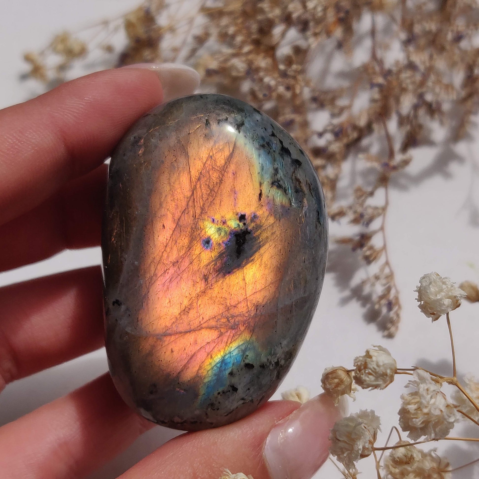 Labradorite Palm Stone (#313) - Simply Affinity