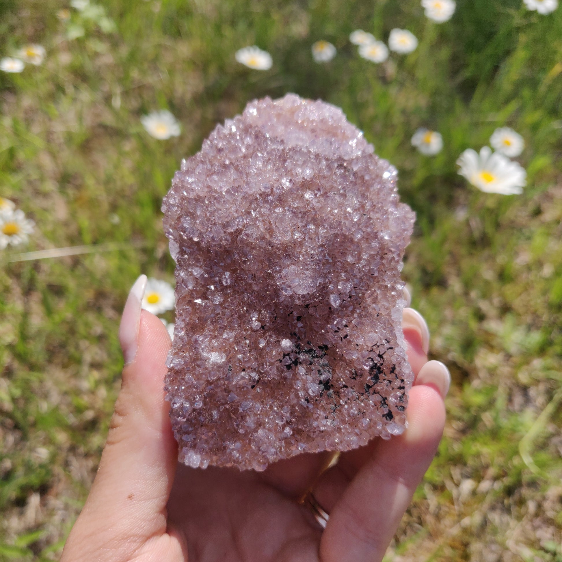 Amethyst Cluster (#4) - Simply Affinity