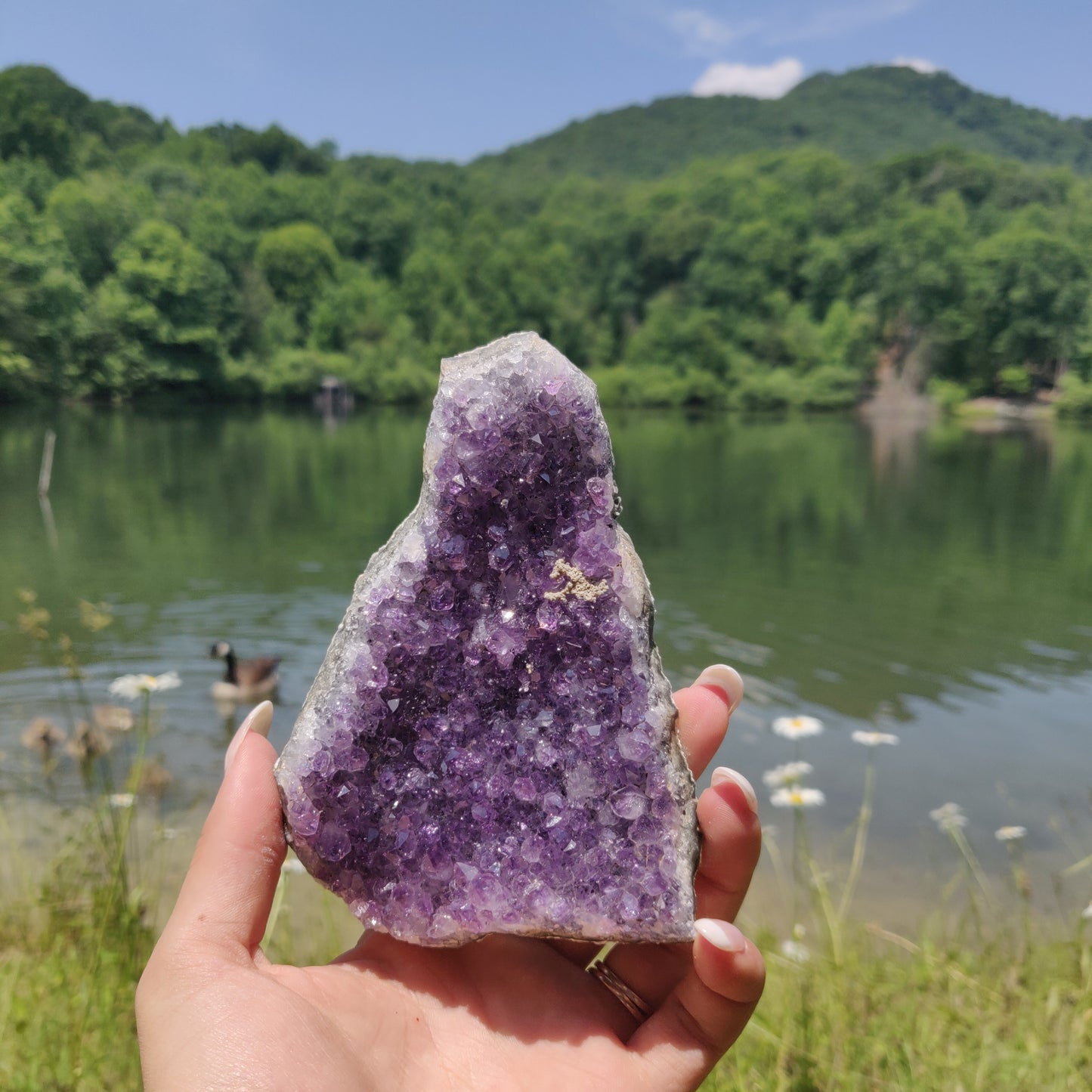 Amethyst Cluster (#9M) - Simply Affinity