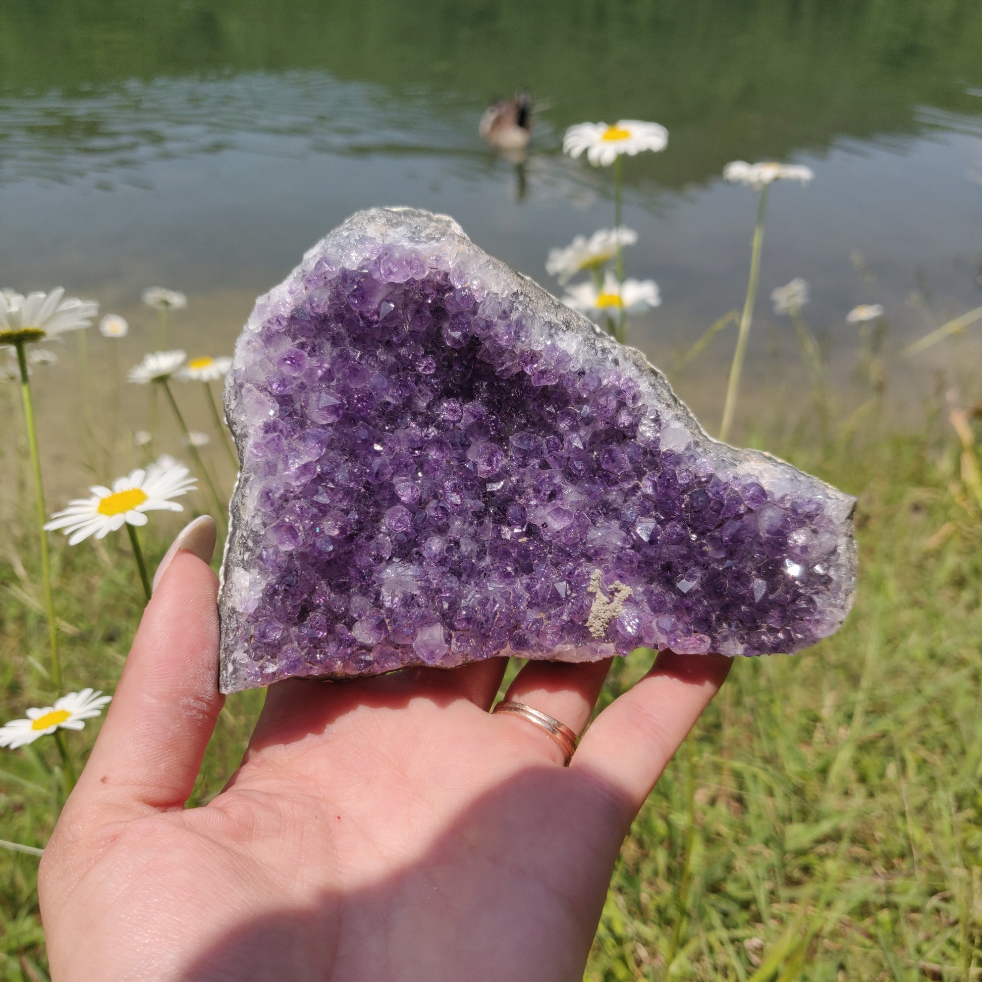 Amethyst Cluster (#9M) - Simply Affinity