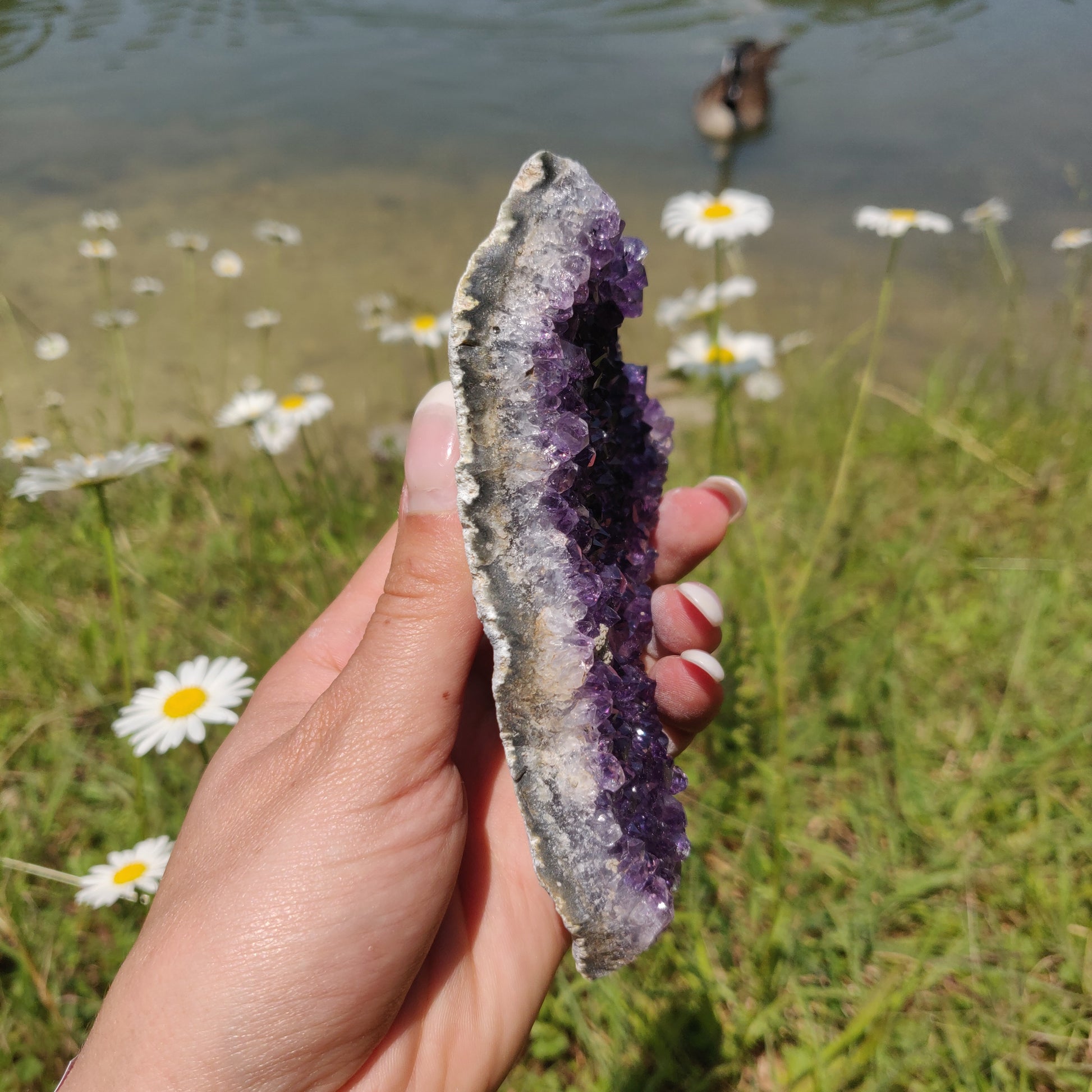 Amethyst Cluster (#9M) - Simply Affinity