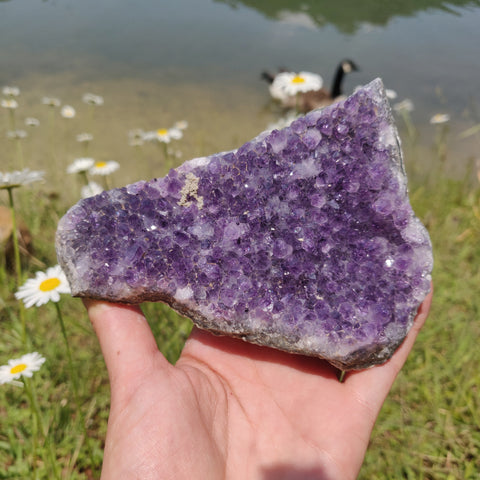 Amethyst Cluster (#9M) - Simply Affinity