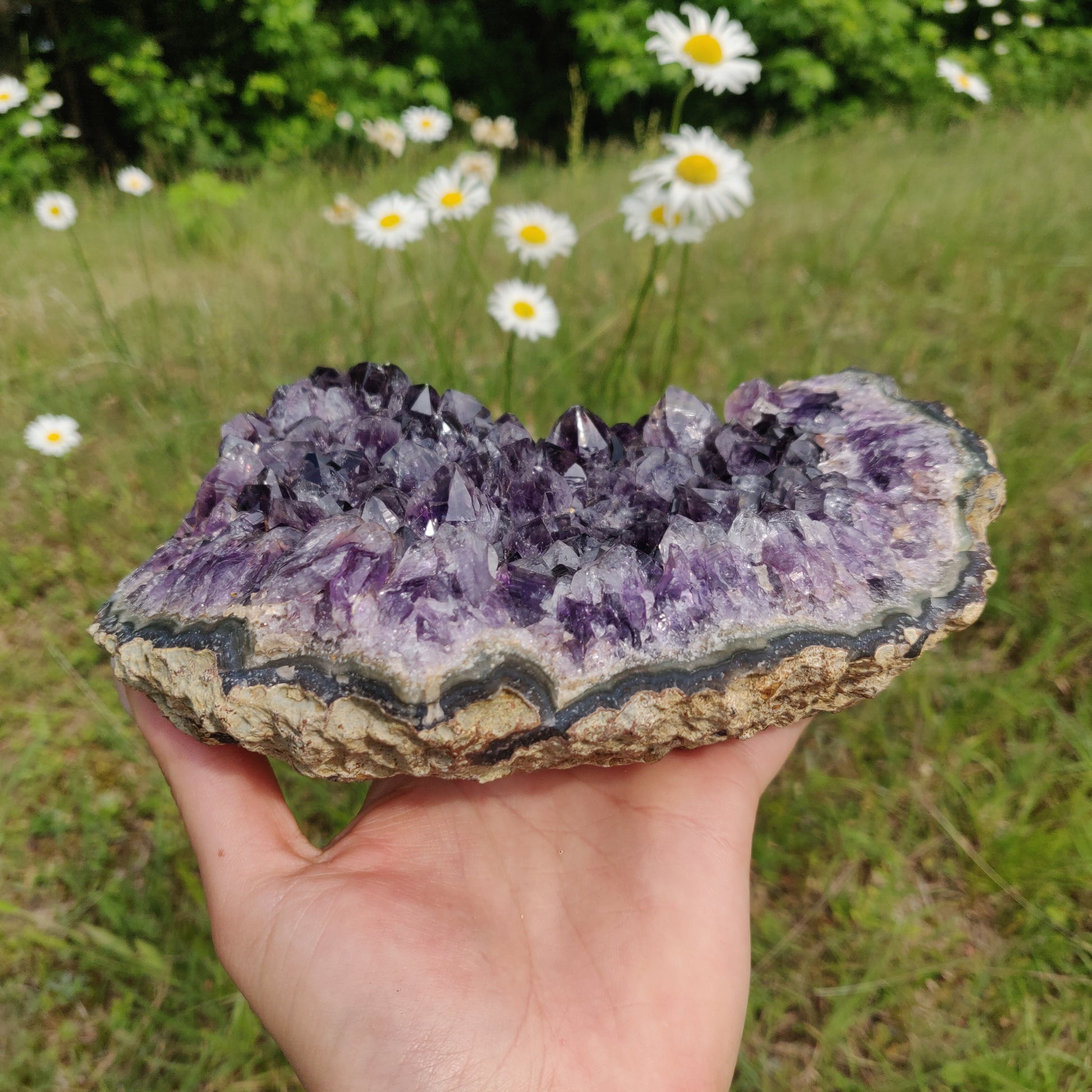 Amethyst Cluster (#10A) - Simply Affinity