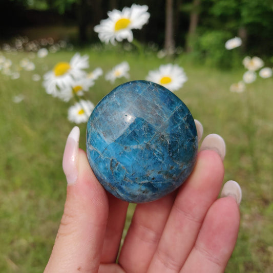 Blue Apatite Palm Stone (#2) - Simply Affinity