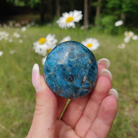 Blue Apatite Palm Stone (#2) - Simply Affinity