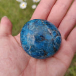 Blue Apatite Palm Stone (#2) - Simply Affinity