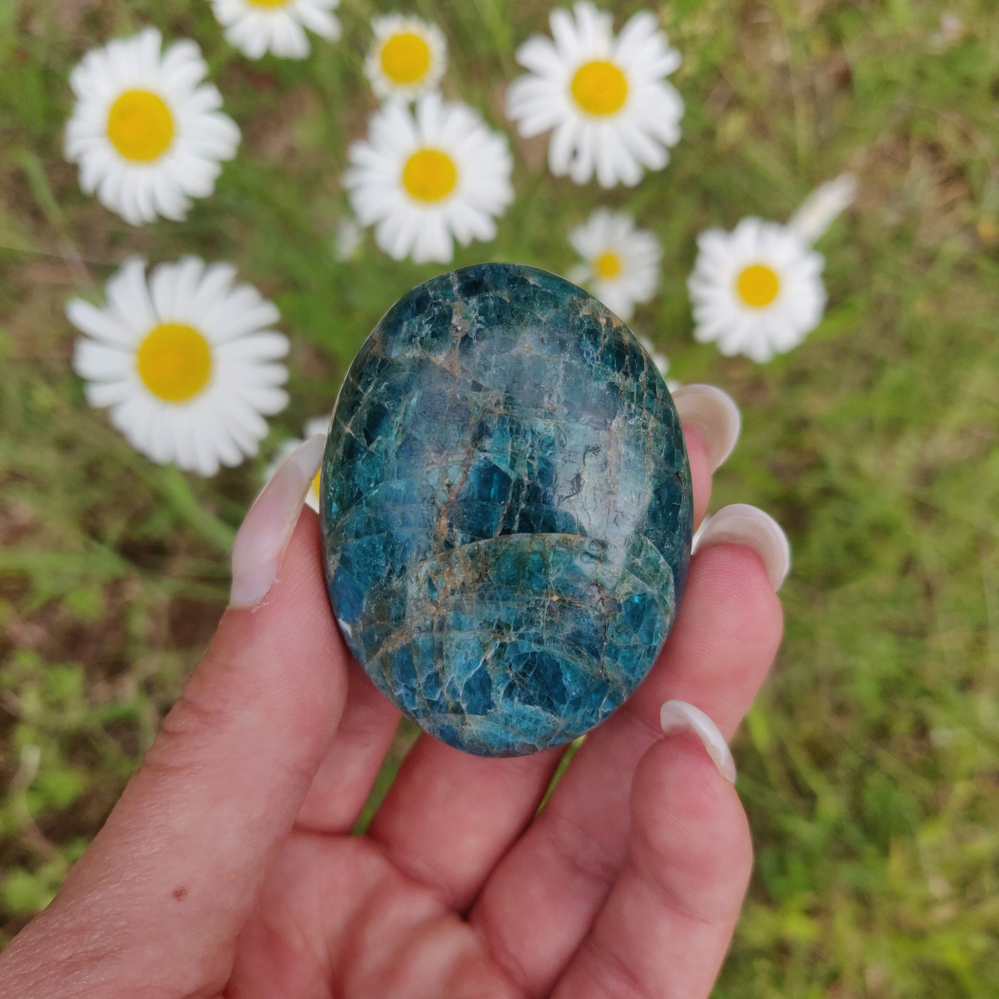 Blue Apatite Palm Stone (#4) - Simply Affinity