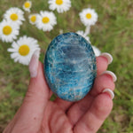 Blue Apatite Palm Stone (#4) - Simply Affinity