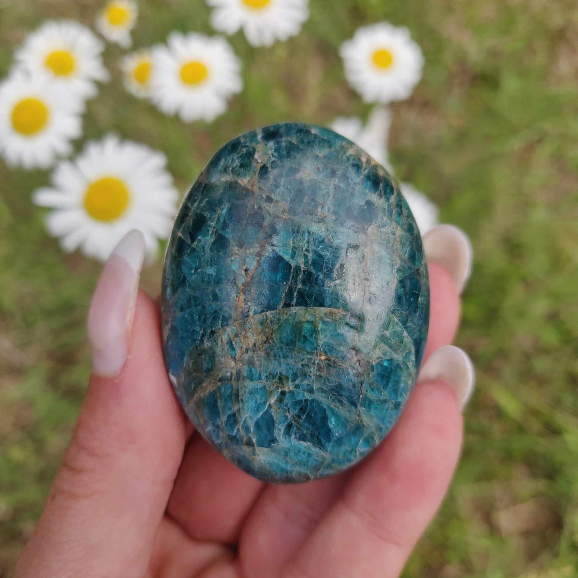 Blue Apatite Palm Stone (#4) - Simply Affinity