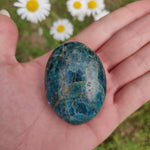 Blue Apatite Palm Stone (#4) - Simply Affinity