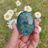 Blue Apatite Palm Stone (#4) - Simply Affinity