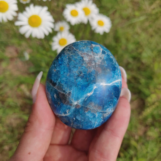 Blue Apatite Palm Stone (#13) - Simply Affinity