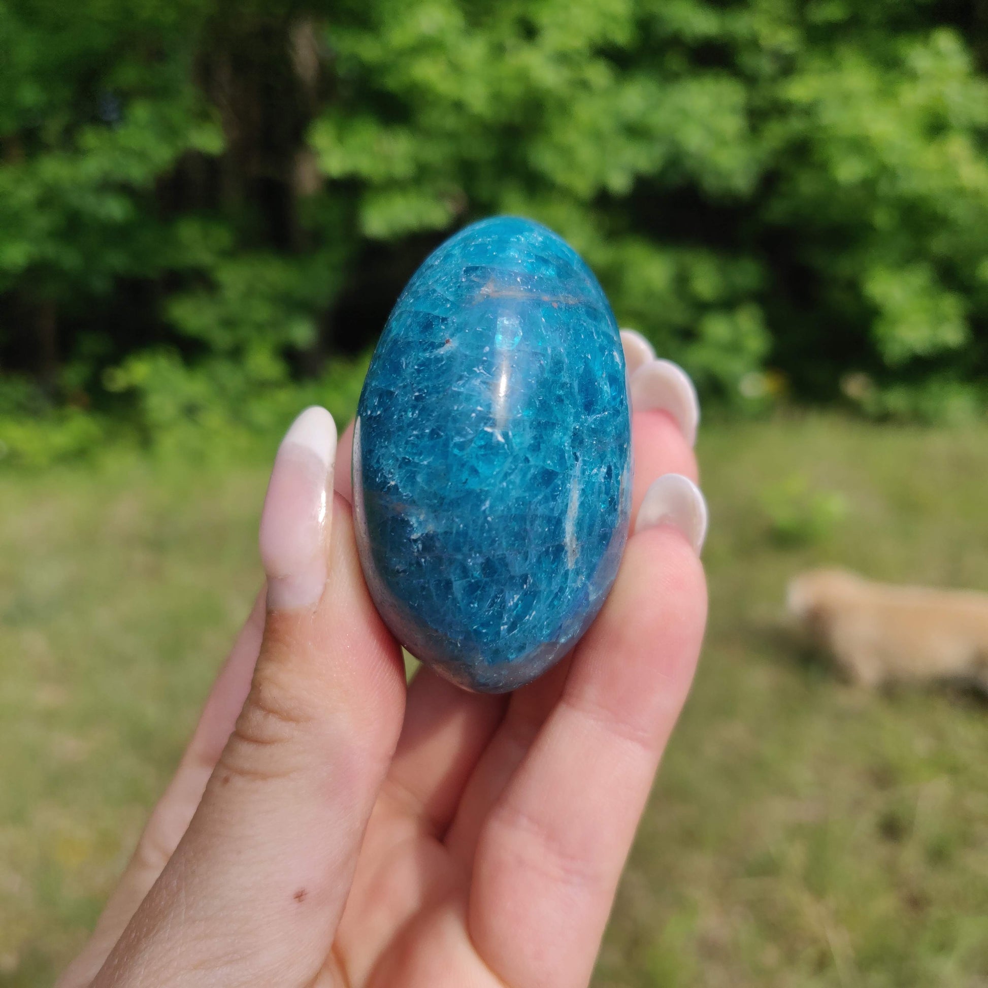 Blue Apatite Palm Stone (#14) - Simply Affinity