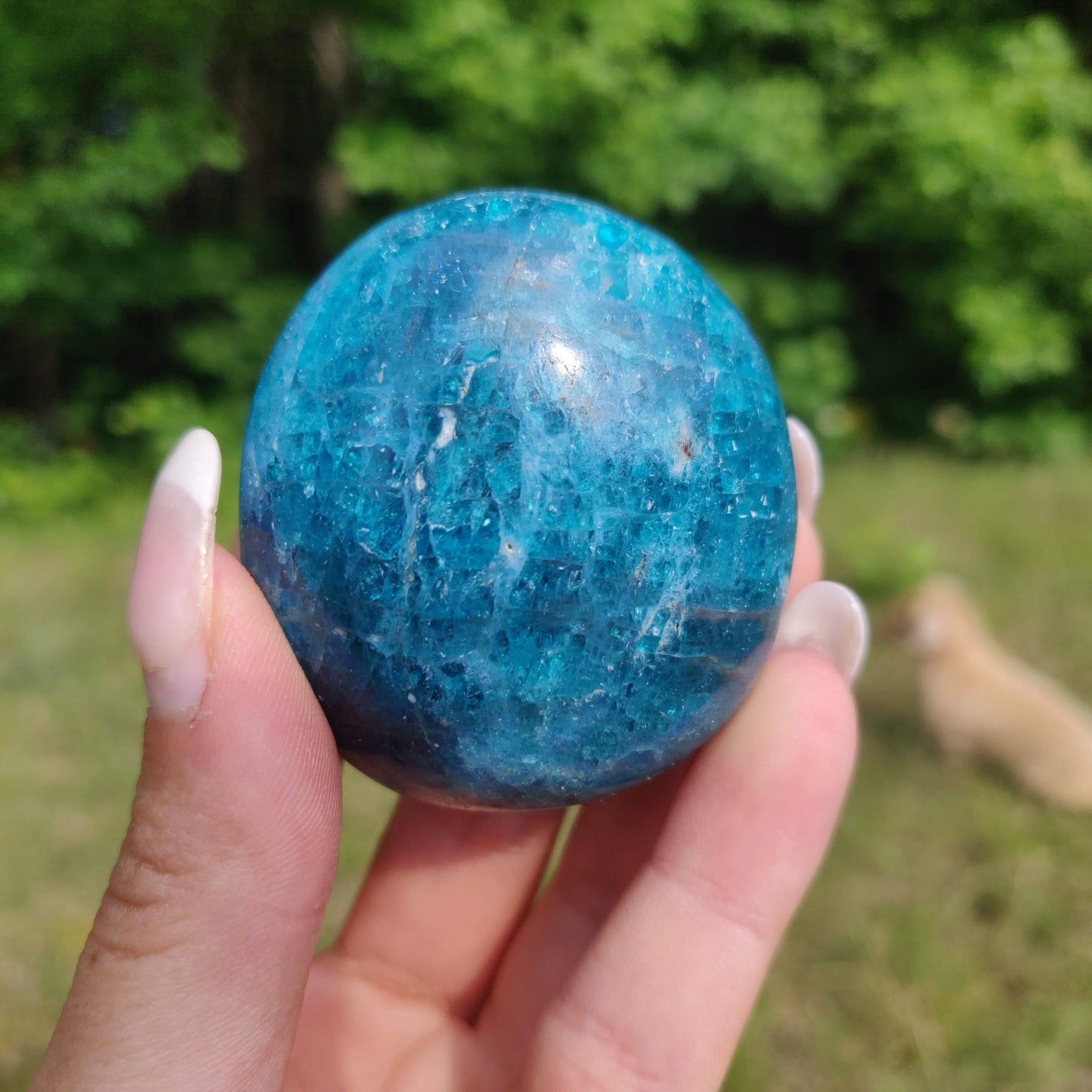 Blue Apatite Palm Stone (#14) - Simply Affinity