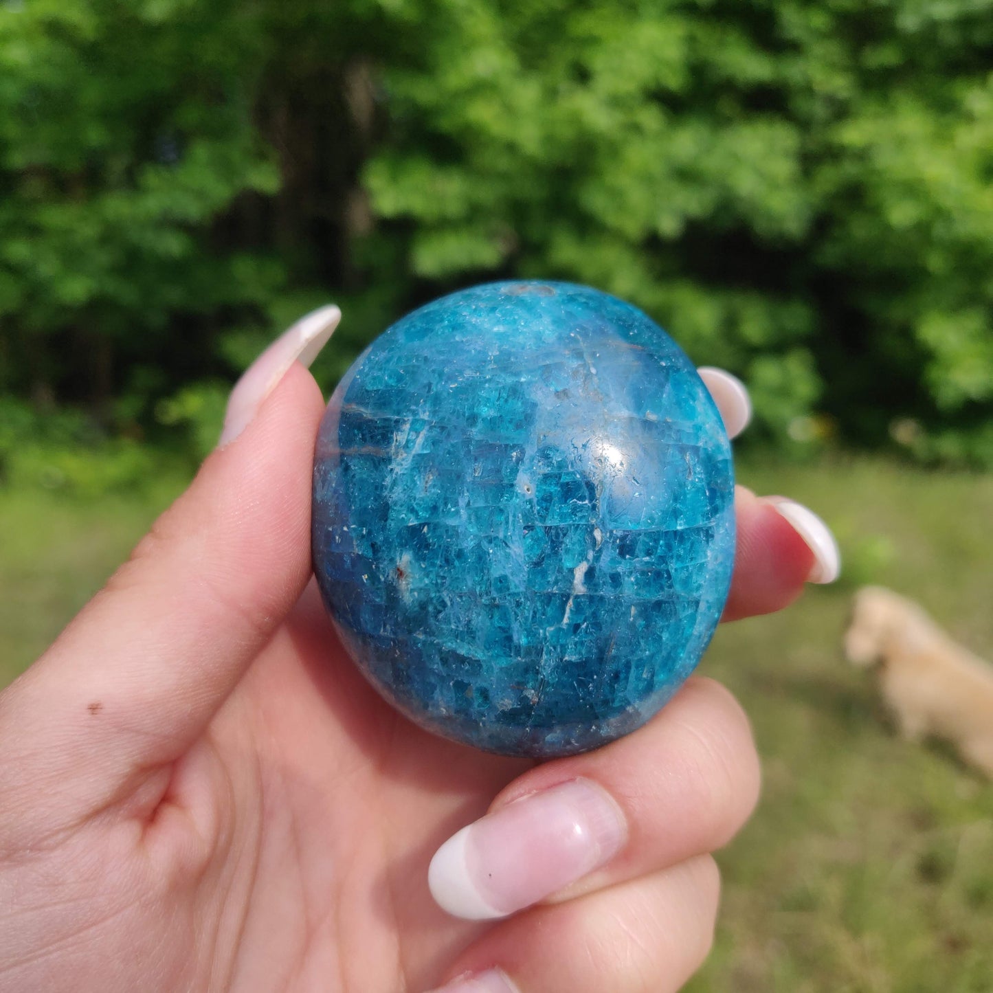 Blue Apatite Palm Stone (#14) - Simply Affinity