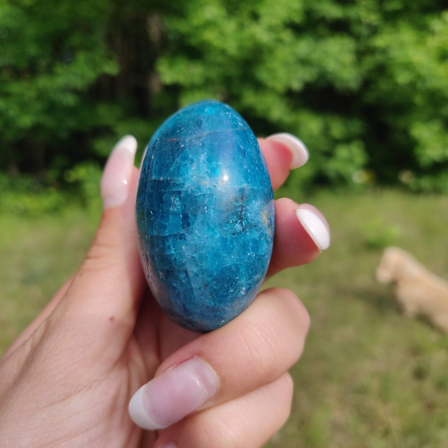 Blue Apatite Palm Stone (#14) - Simply Affinity