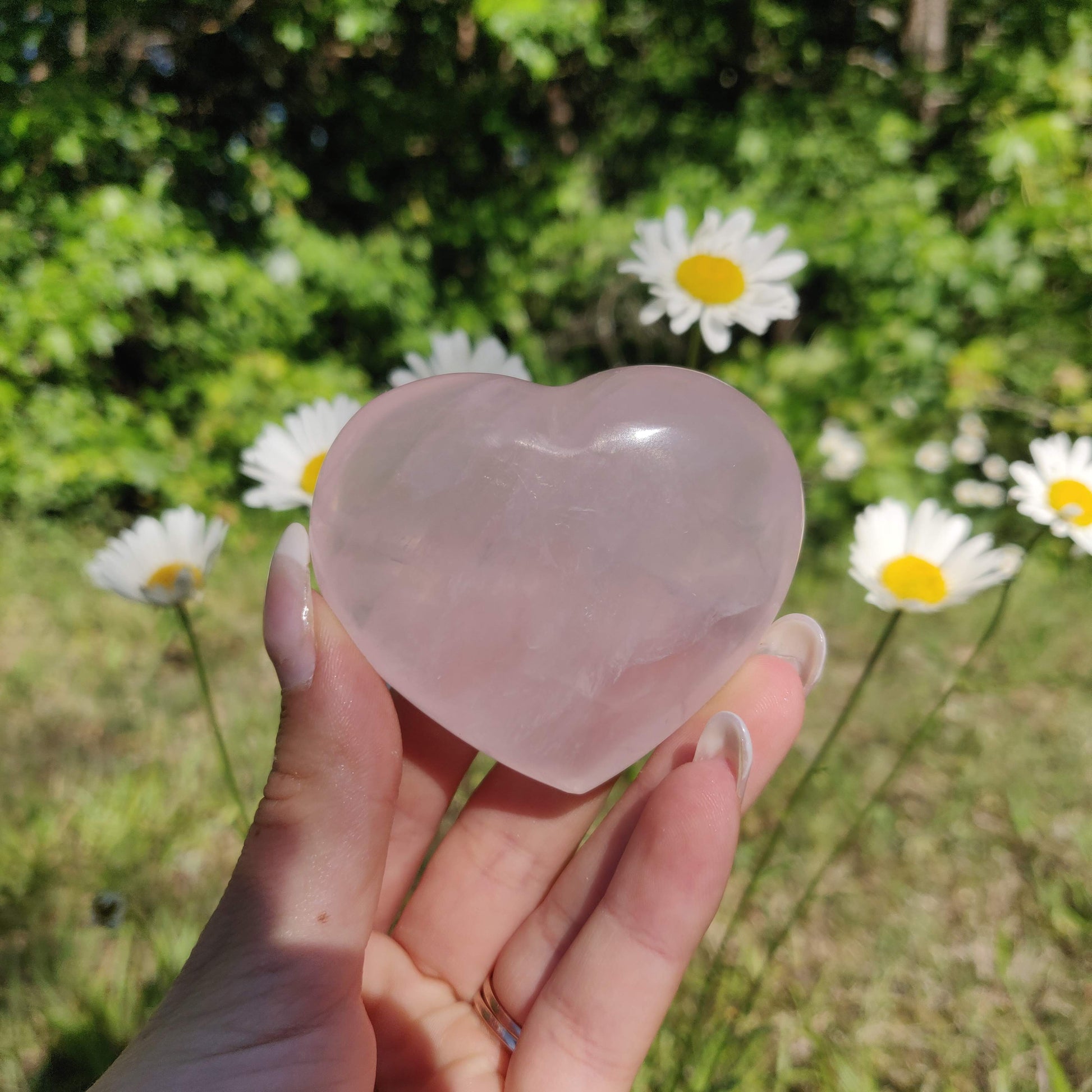 Star Rose Quartz Heart (#1M) - Simply Affinity
