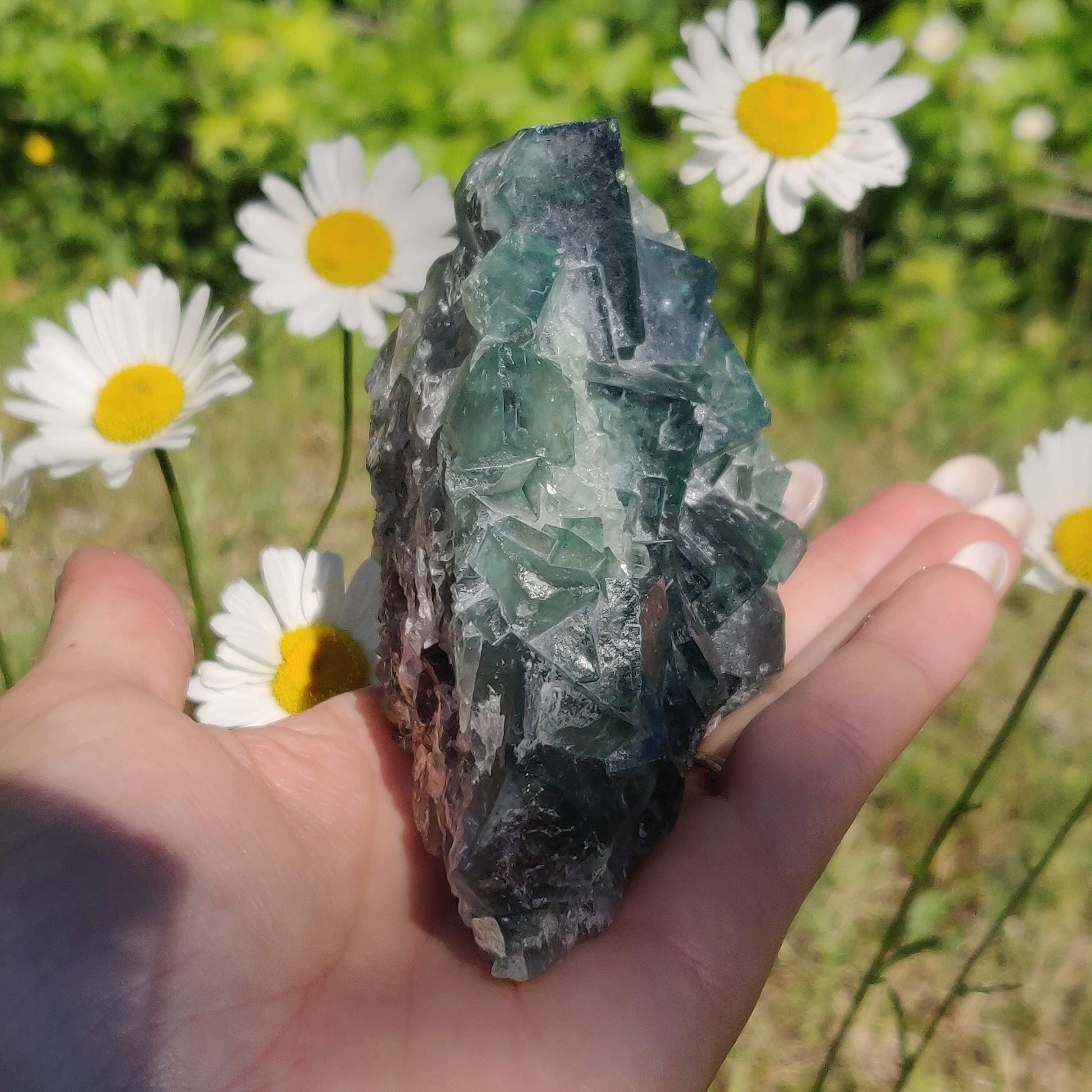 Raw Cubic Fluorite Cluster (#1) - Simply Affinity