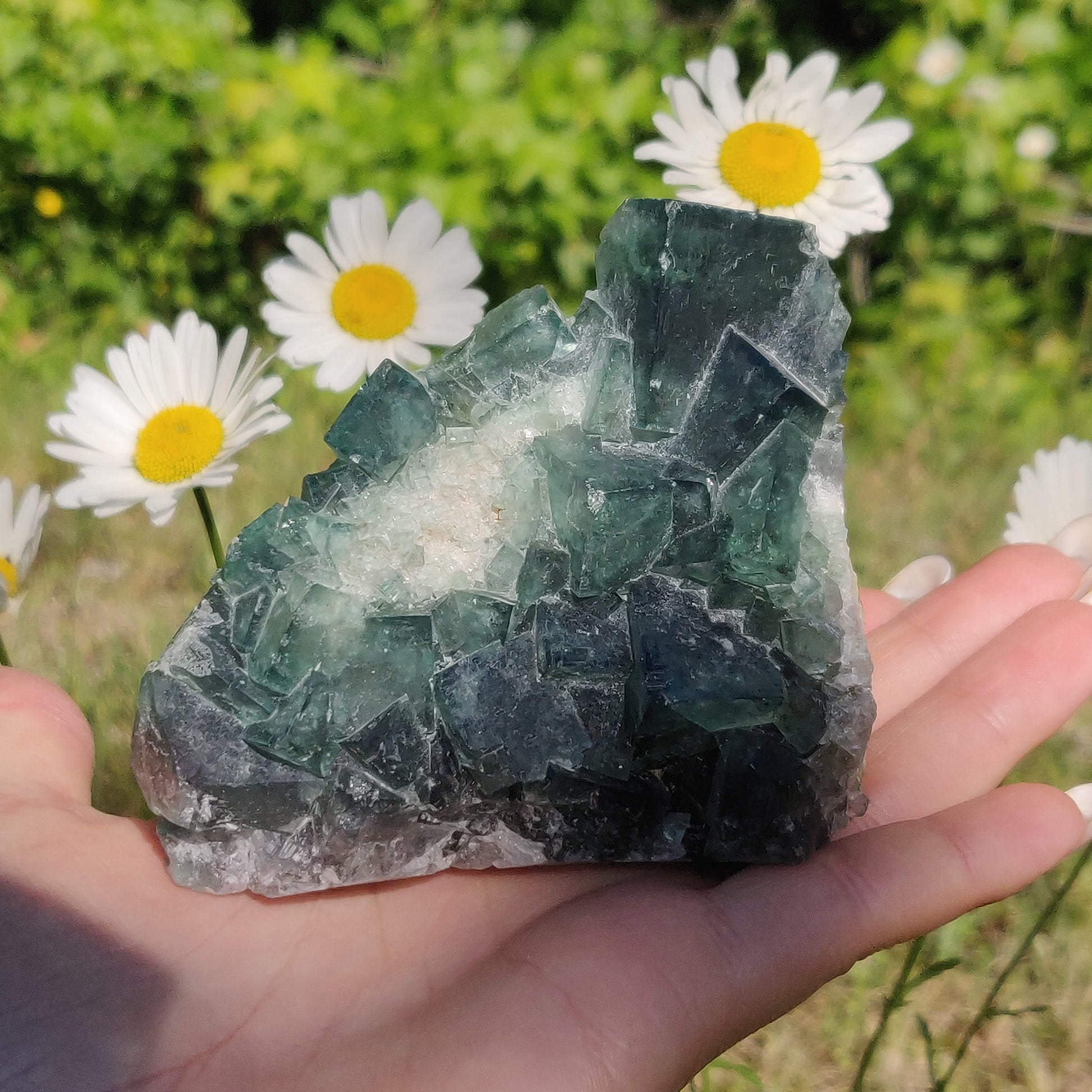 Raw Cubic Fluorite Cluster (#1) - Simply Affinity