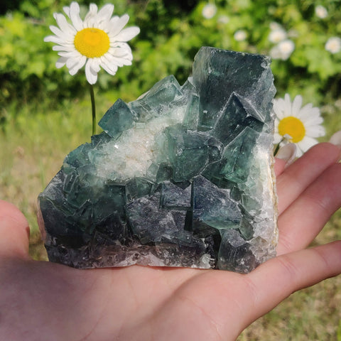 Raw Cubic Fluorite Cluster (#1) - Simply Affinity