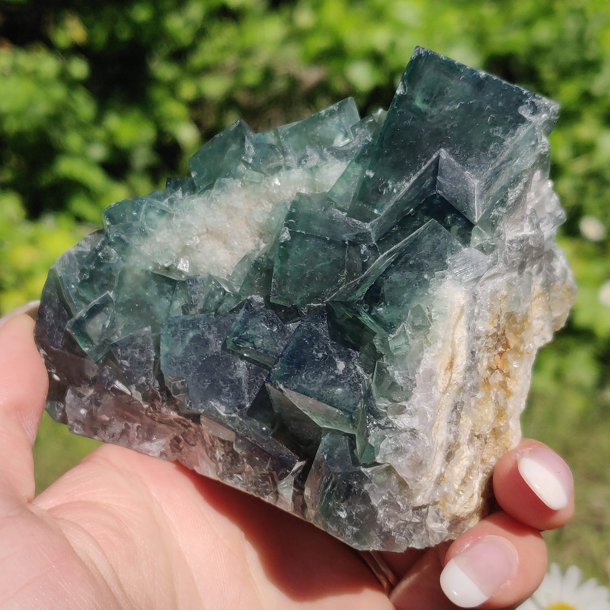 Raw Cubic Fluorite Cluster (#1) - Simply Affinity