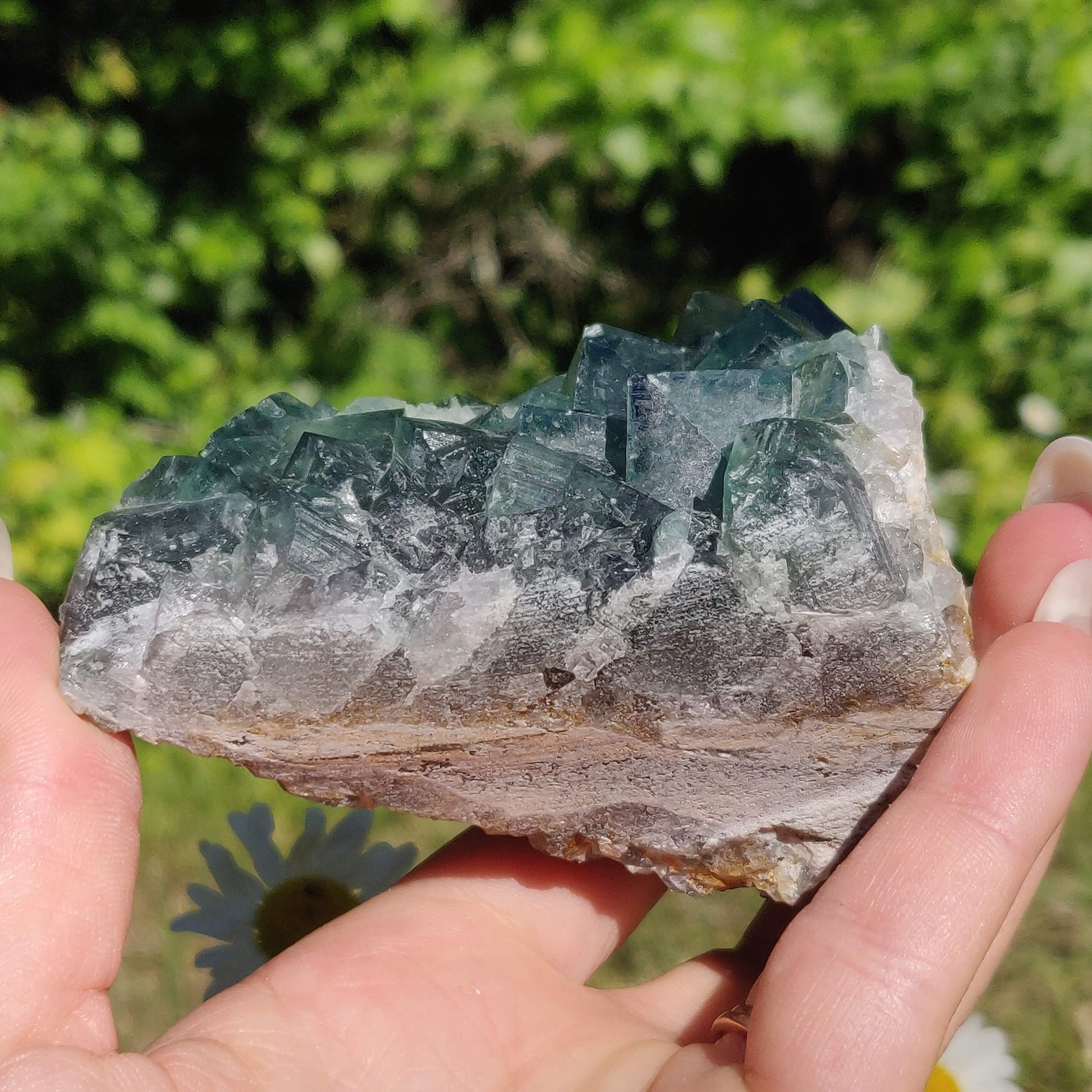 Raw Cubic Fluorite Cluster (#1) - Simply Affinity