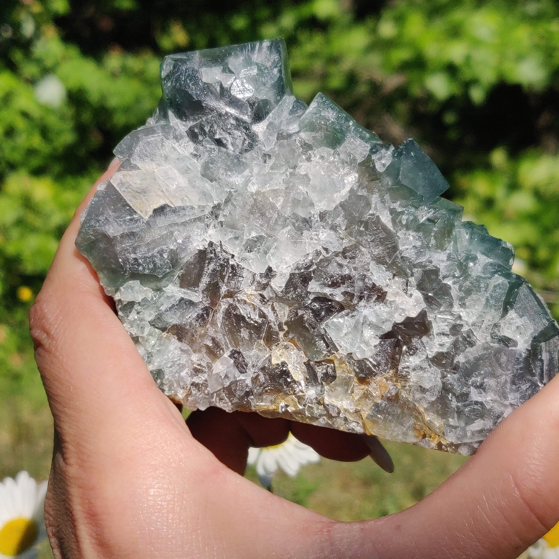 Raw Cubic Fluorite Cluster (#1) - Simply Affinity