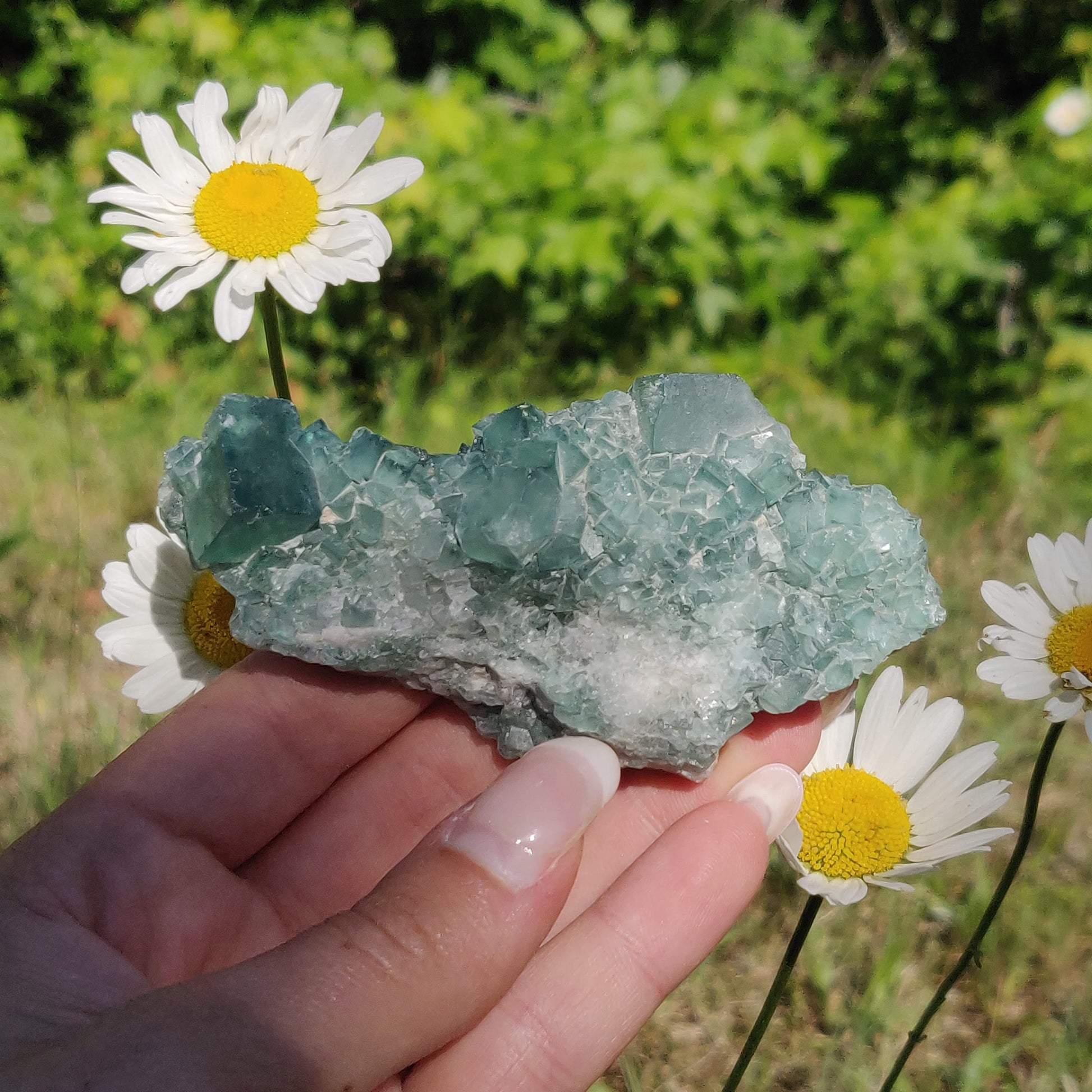 Raw Cubic Fluorite Cluster (#7) - Simply Affinity