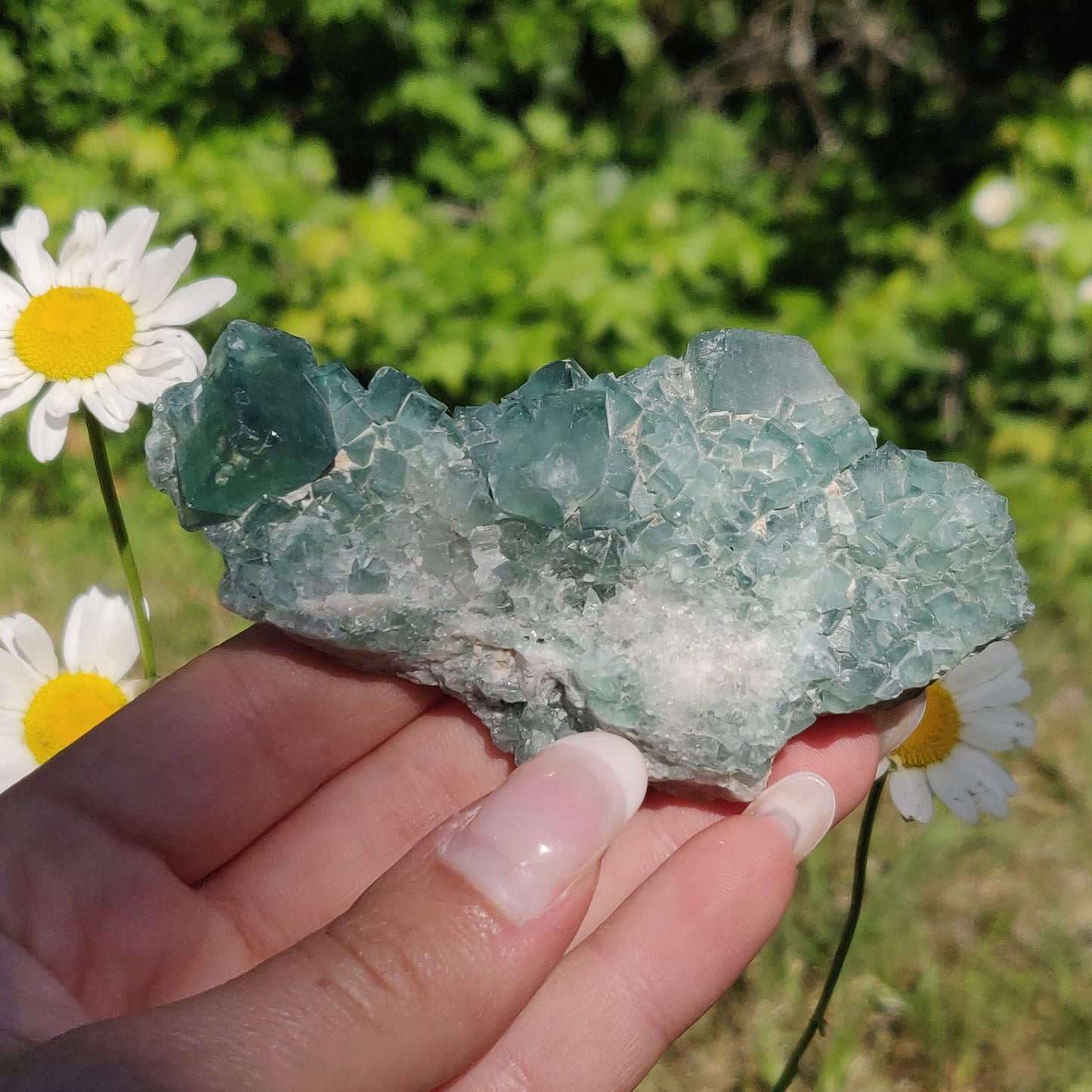 Raw Cubic Fluorite Cluster (#7) - Simply Affinity
