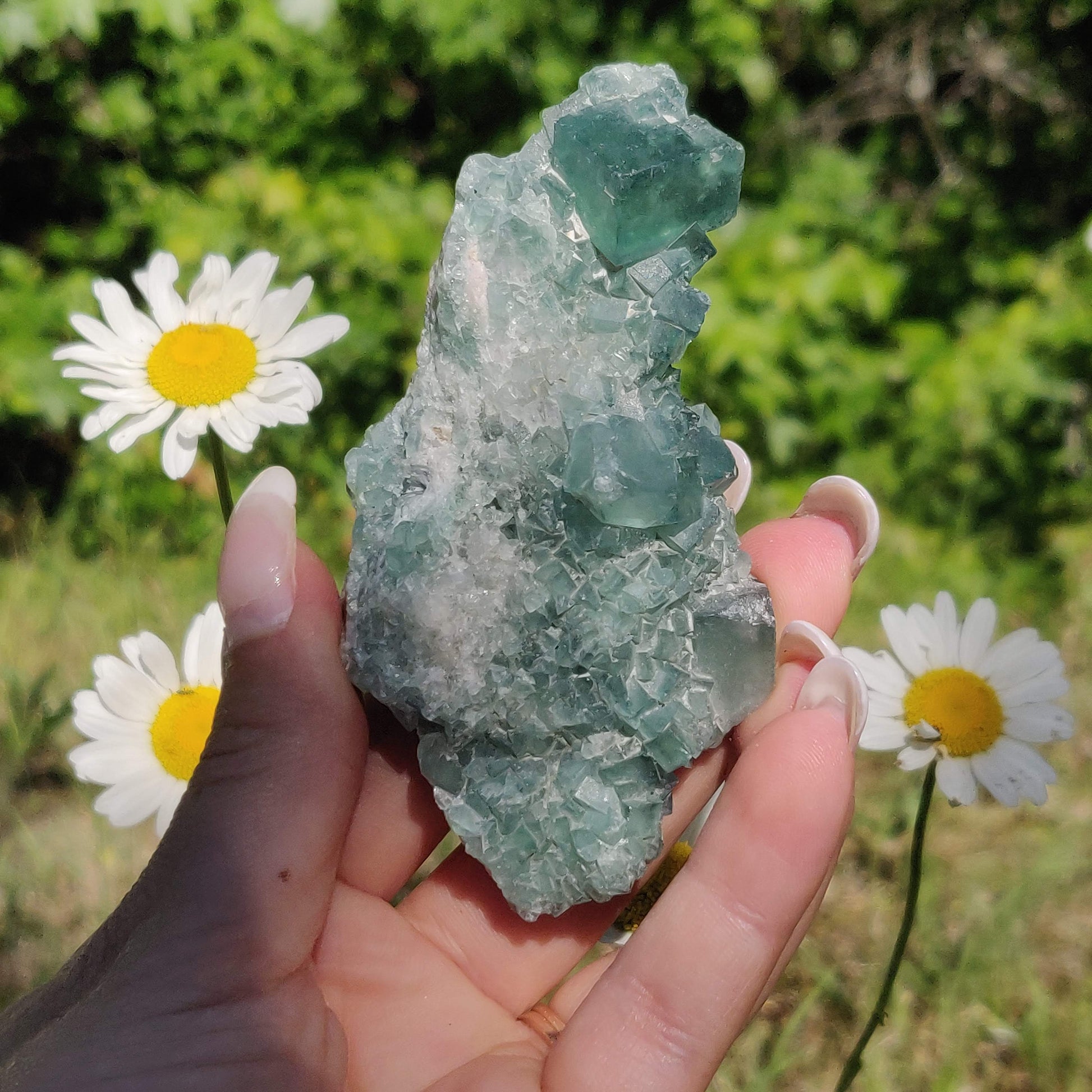 Raw Cubic Fluorite Cluster (#7) - Simply Affinity
