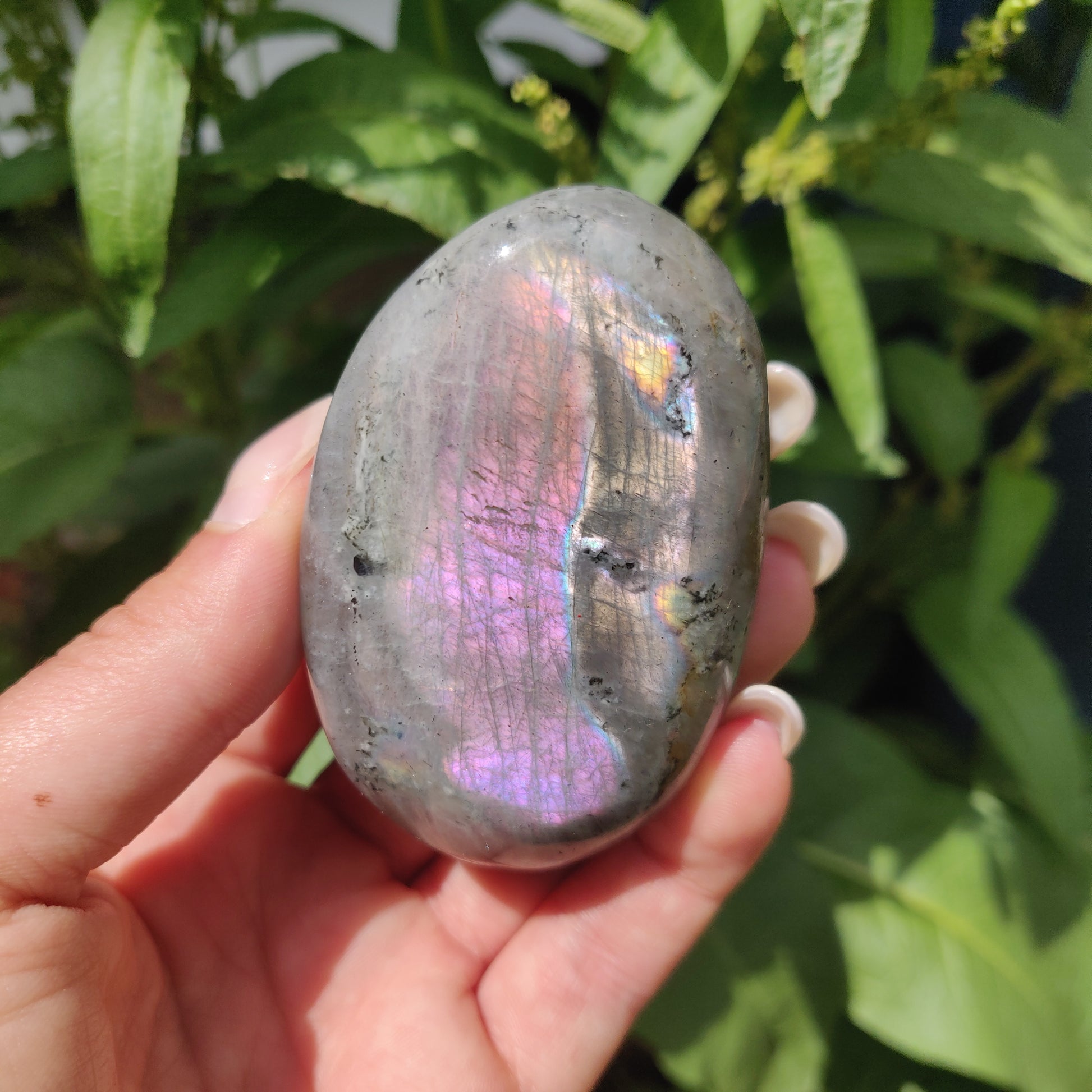 Labradorite Palm Stone (#317) - Simply Affinity