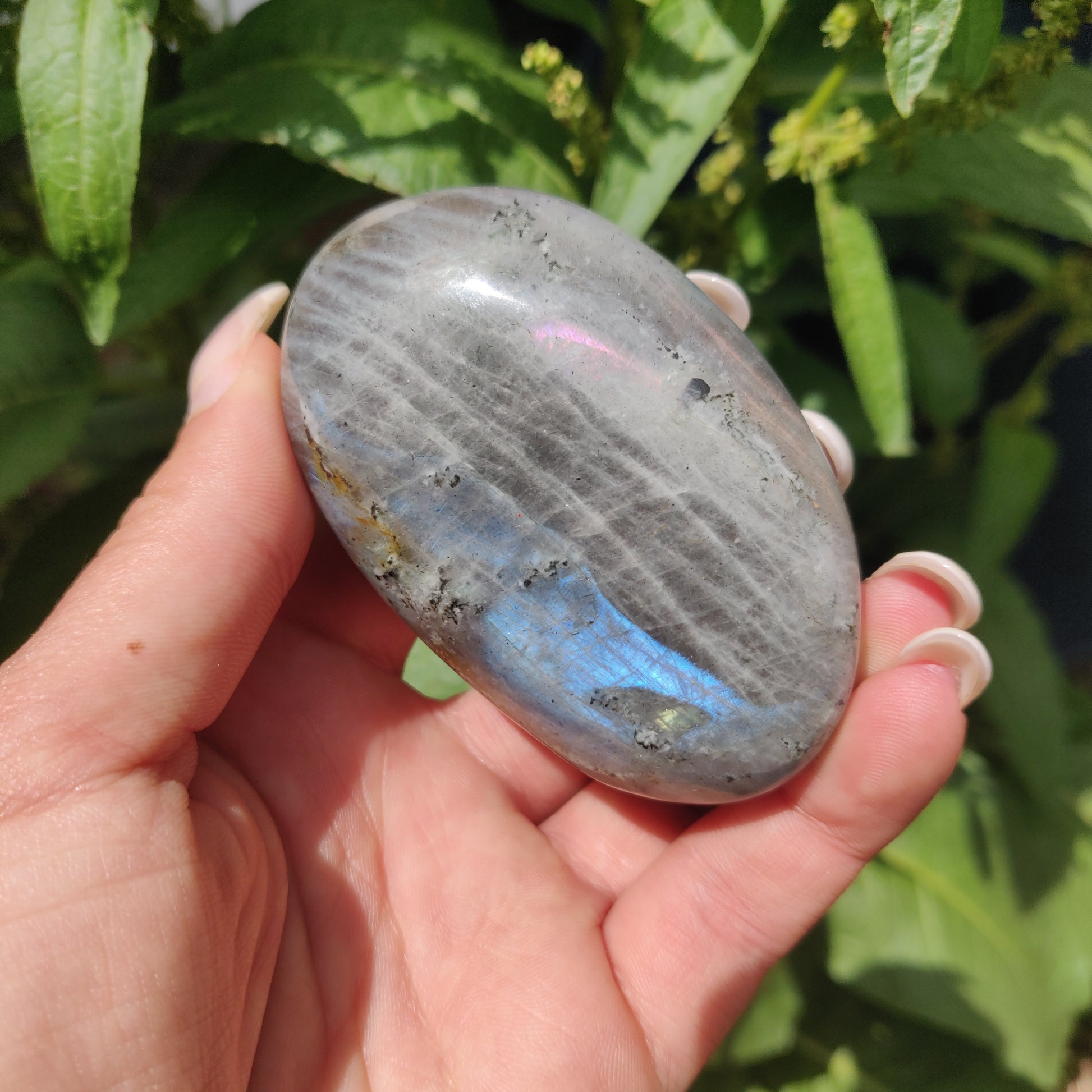 Labradorite Palm Stone (#317) - Simply Affinity