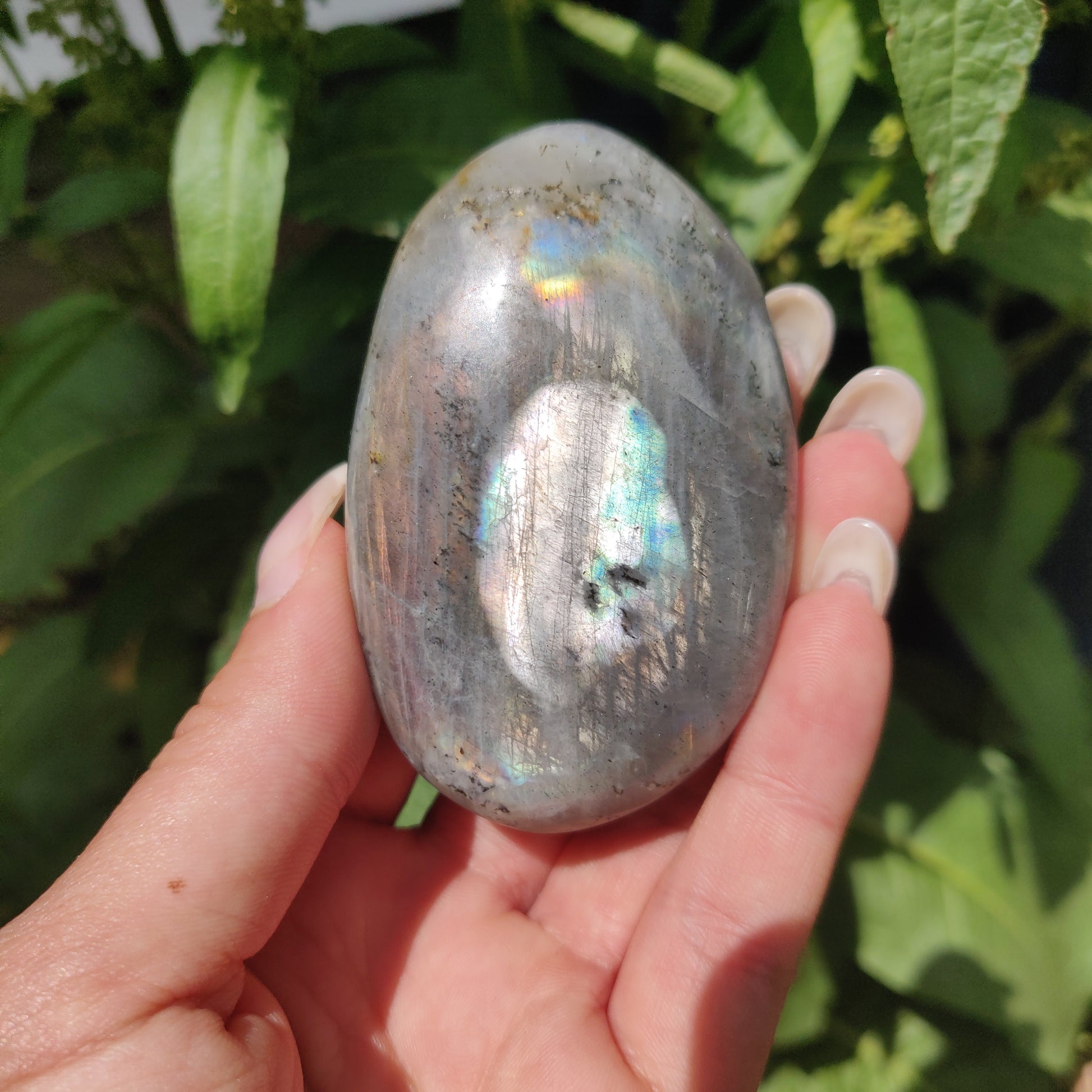 Labradorite Palm Stone (#317) - Simply Affinity