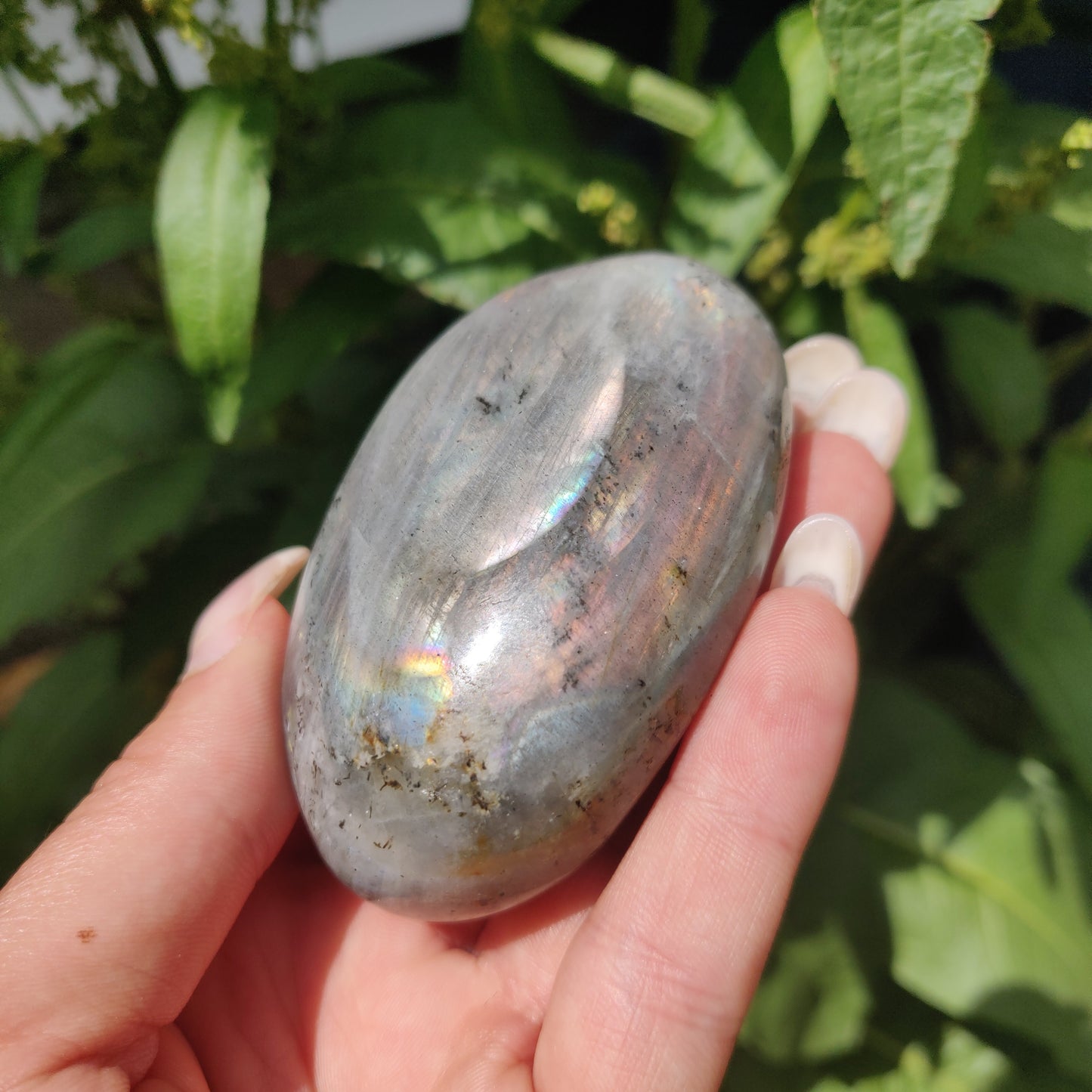 Labradorite Palm Stone (#317) - Simply Affinity