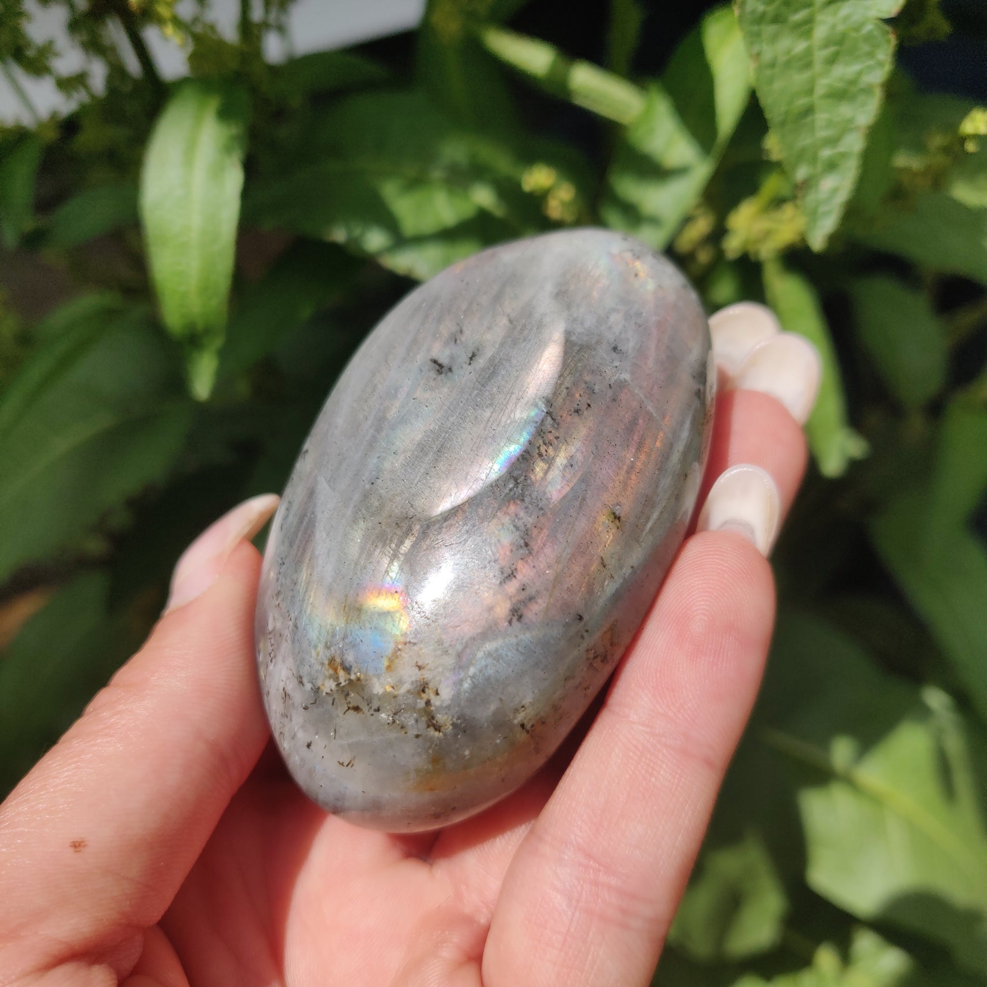 Labradorite Palm Stone (#317) - Simply Affinity