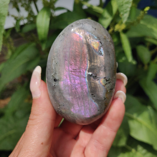 Labradorite Palm Stone (#317) - Simply Affinity