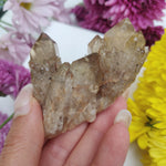Congo Citrine Cluster (#1) - Simply Affinity