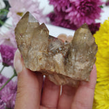 Congo Citrine Cluster (#1) - Simply Affinity