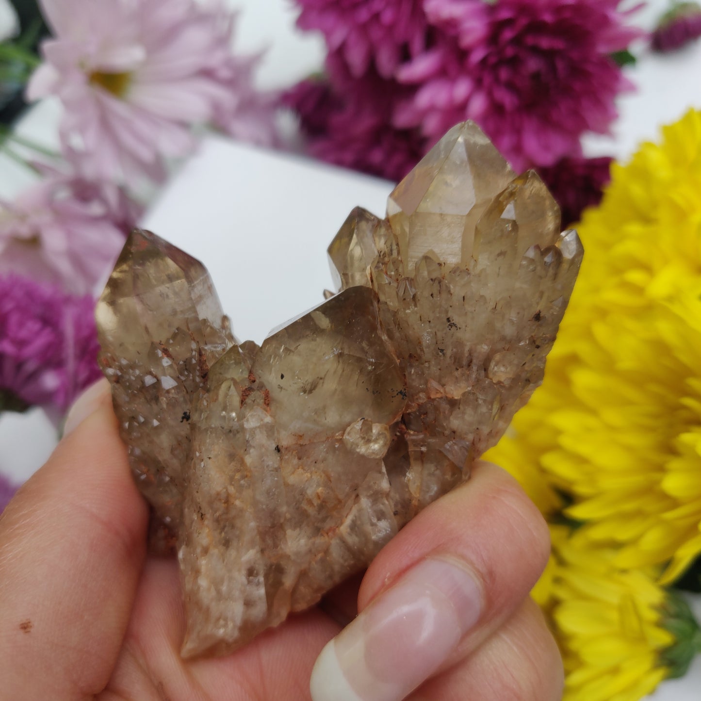 Congo Citrine Cluster (#1) - Simply Affinity