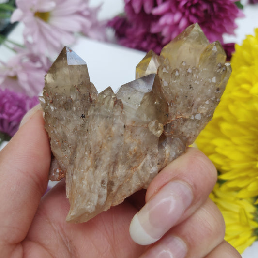 Congo Citrine Cluster (#1) - Simply Affinity