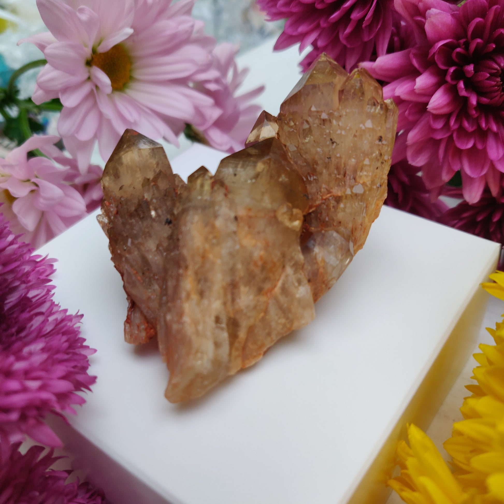 Congo Citrine Cluster (#1) - Simply Affinity
