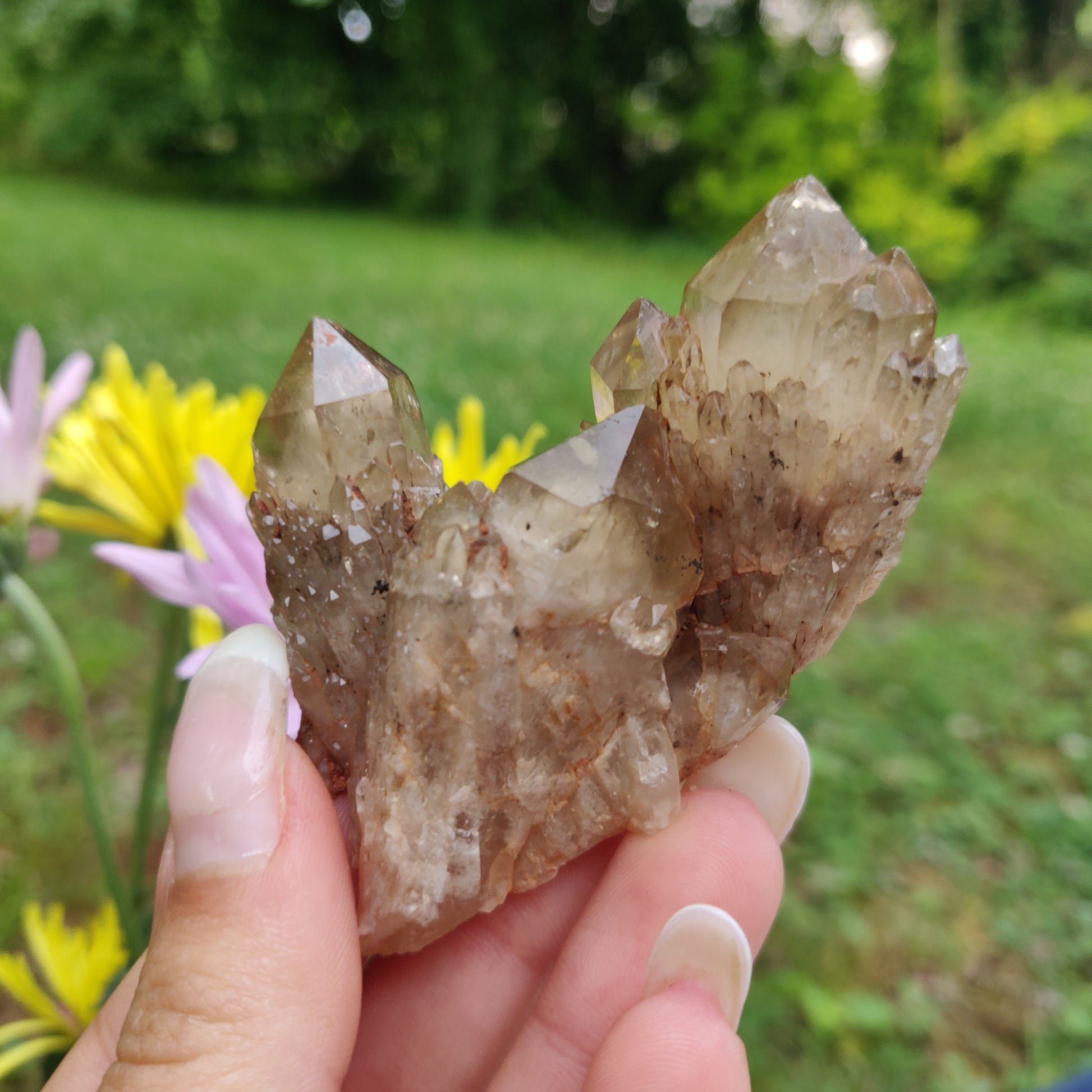 Congo Citrine Cluster (#1) - Simply Affinity