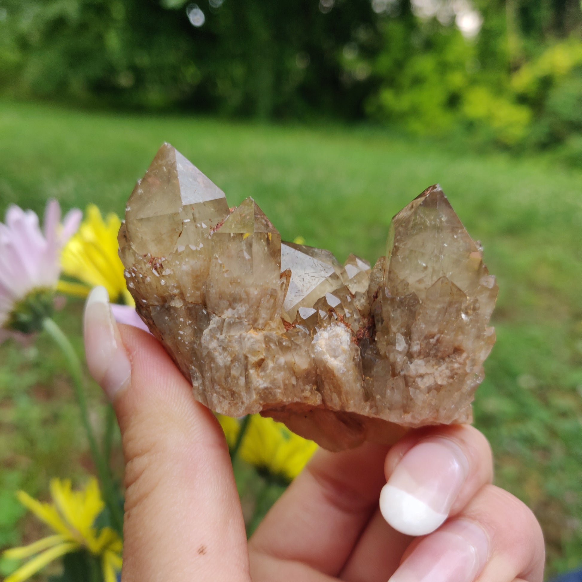 Congo Citrine Cluster (#1) - Simply Affinity